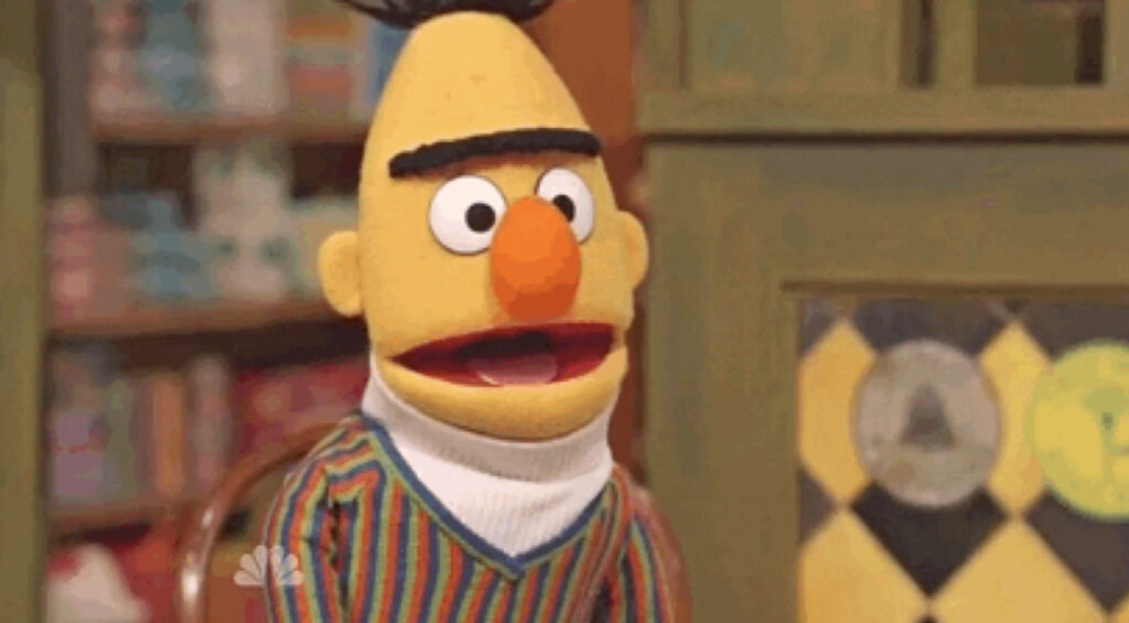 Google Bert