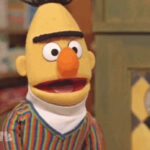 Google Bert